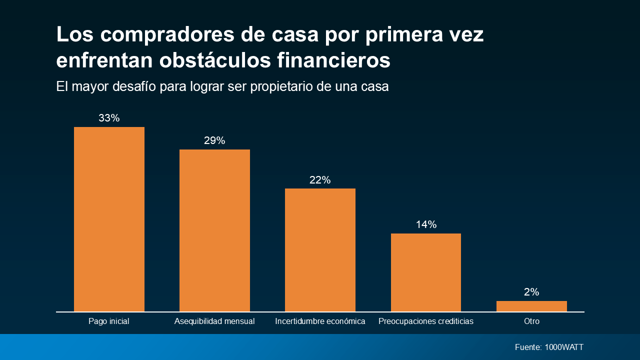 Obstáculos Financieros