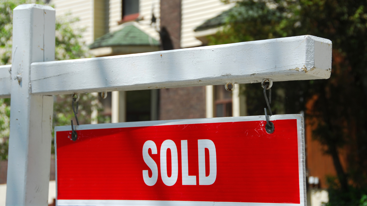 vendedores, real Estate