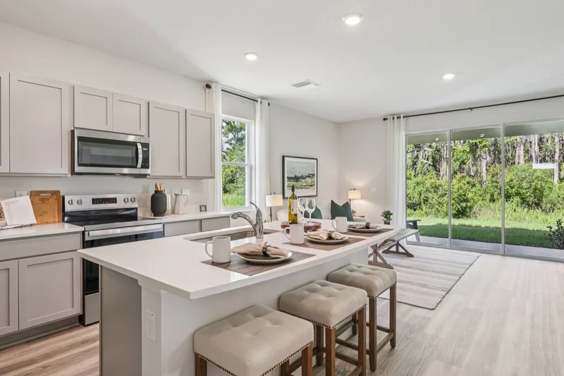 Woodcreek Townhomes, obra nueva en Wesley Chapel, Florida